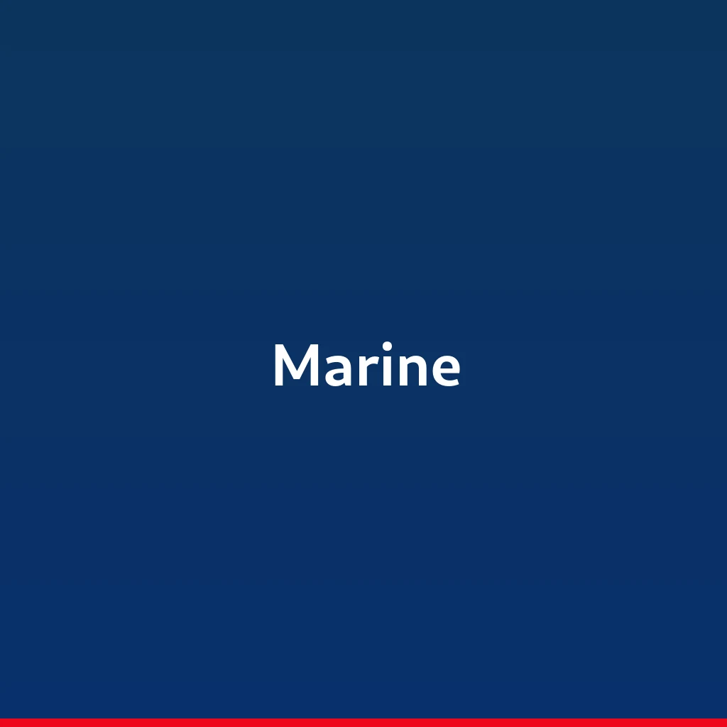 Marine Industry