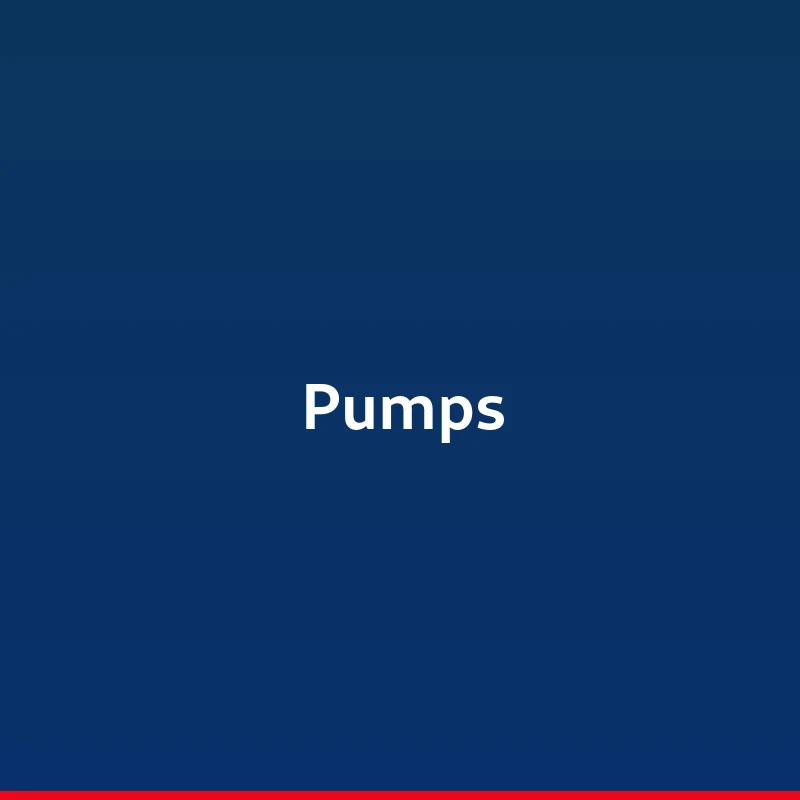 Pumps Category